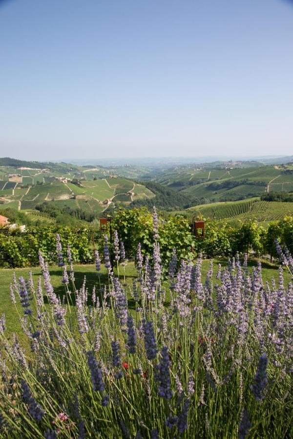 Agriturismo La Torricella Monforte D'Alba Luaran gambar